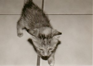 Cyra baby 1