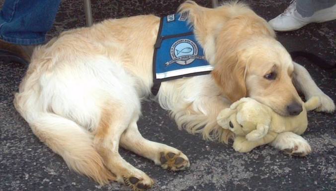 Moses courtesy of his Facebook Page